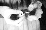 手順8の写真