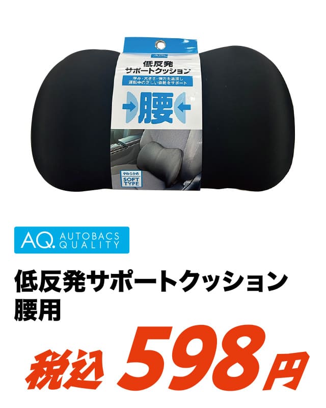 AQ. 低反発 サポートクッション 腰用
