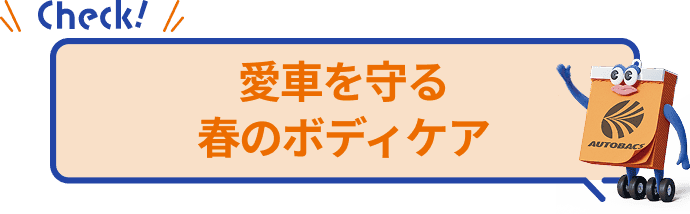 愛車を守る春のボディケア