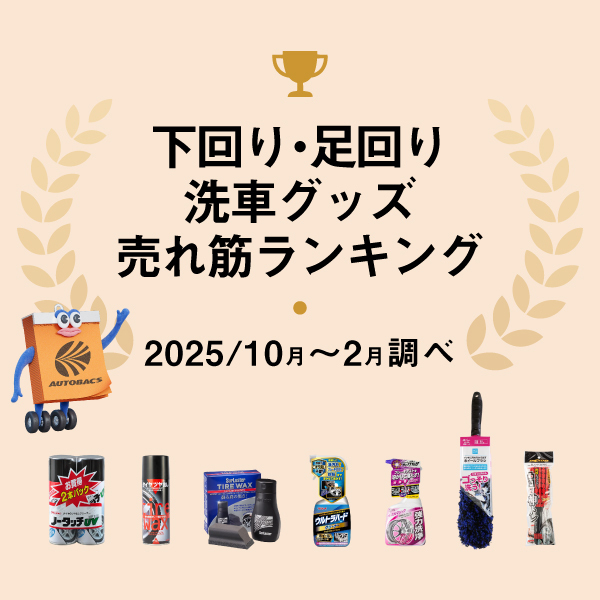 下回り・足回り洗車グッズ売れ筋ランキング2025年10月〜2月調べ