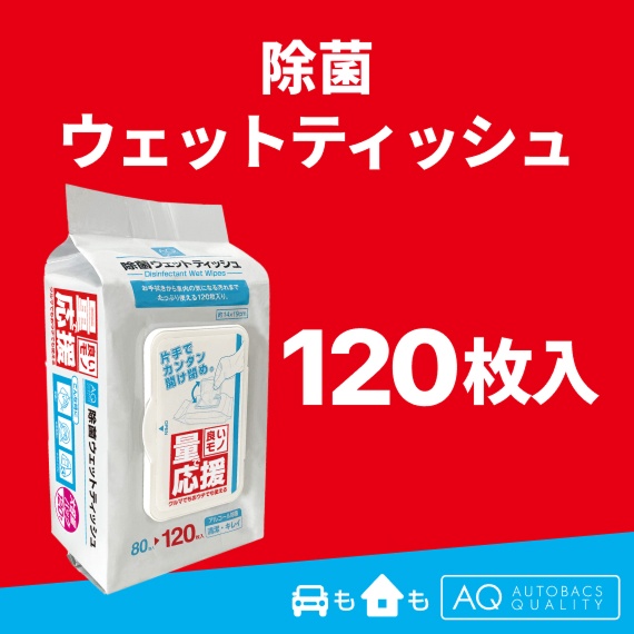 除菌ウェットティッシュ 120枚入