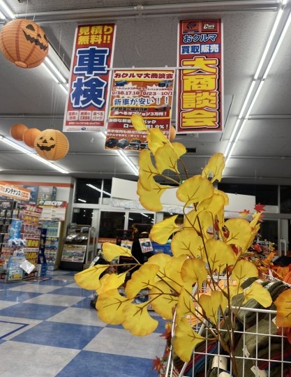 店舗イメージ