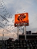店舗イメージ003