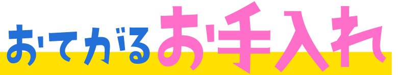 おてがる お手入れ