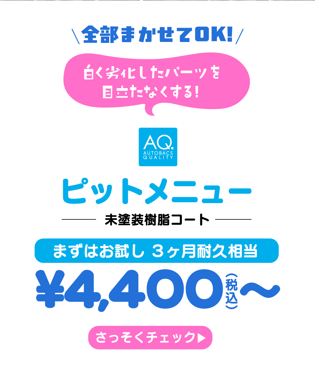 全部まかせてOK! ピットメニュー 未塗装樹脂コート まずはお試し 3ヶ月耐久相当 ¥4,400（税込） さっそくチェック