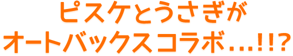 ピスケとうさぎがオートバックスコラボ…！！？
