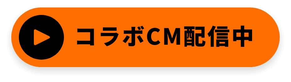 動画の再生ボタン