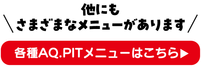 各種AQ.PITメニューはこちら▶