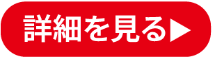 詳細を見る