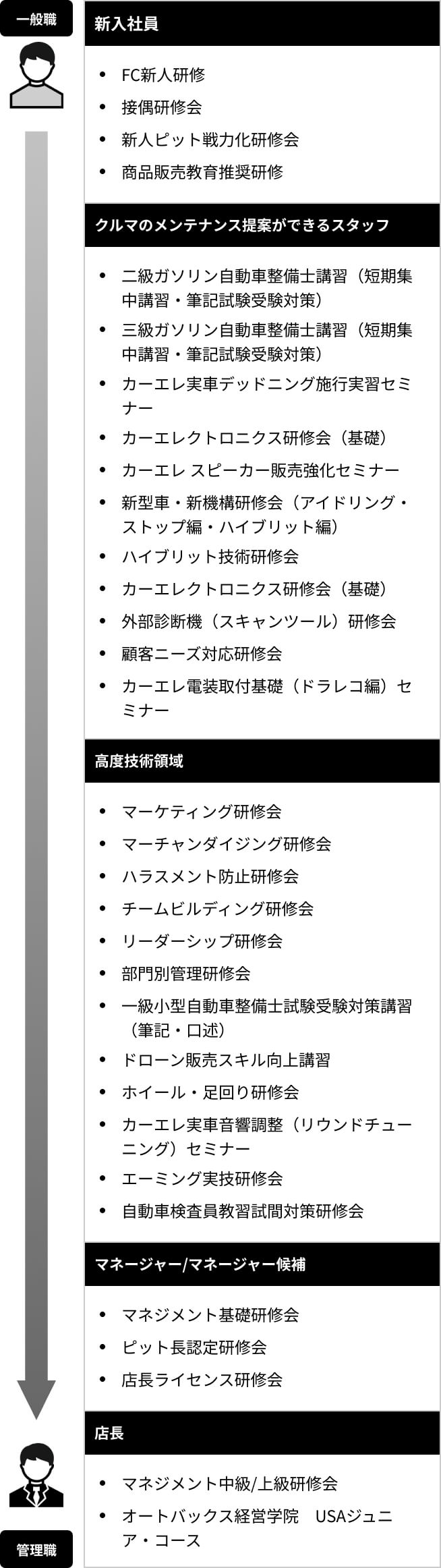 一般職から管理職までのカリキュラム例。新入社員：・FC新人研修。・接遇研修会、・新人ピット戦力化研修会、・商品販売教育推奨研修。
                車のメンテナンス提案ができるスタッフ：・二級ガソリン自動車整備士講習（短期集中講習・筆記試験受験対策）、・三級ガソリン自動車整備士講習（短期集中講習・筆記試験受験対策）、・カーエレ実車デッドニング施行実習セミナー、・カーエレクトロニクス研修会（基礎）、・カーエレ スピーカー販売強化セミナー、・新型車・新機構研修会（アイドリング・ストップ編・ハイブリット編）、・ハイブリット技術研修会、・外部診断機（スキャンツール）研修会、・顧客ニーズ対応研修会、・カーエレ電装取付基礎（ドラレコ編）セミナー。高度技術領域：・マーケティング研修会、・マーチャンダイジング研修会、・ハラスメント防止研修会、・チームビルディング研修会、・リーダーシップ研修会、・部門別管理研修会、・一級小型自動車整備士試験受験対策講習（筆記・口述）、・ドローン販売スキル向上講習、・ホイール・足回り研修会、・カーエレ実車音響調整（リウンドチューニング）セミナー、・エーミング実技研修会、・自動車検査員教習試間対策研修会。マネージャー、マネージャー候補：・マネジメント基礎研修会、・ピット長認定研修会、・店長ライセンス研修会。店長：・マネジメント中級/上級研修会、・オートバックス経営学院　USAジュニア・コース