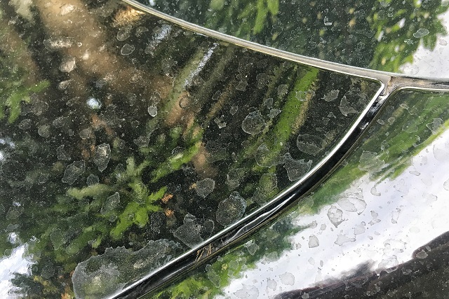 夏にクルマを洗車する際は要注意