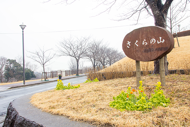 さくらの山公園